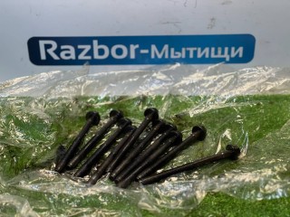 болт головки блока цилиндров, ориг. номер E4FZ6065A, Ford Focus 1 поколение 1998-2001