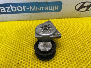 натяжитель ремня генератора, ориг. номер R54122, 489A, Ford Focus 1 поколение [рестайлинг] 2001-2005