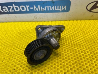 натяжитель ремня генератора, ориг. номер R54122, 489A, Ford Focus 1 поколение [рестайлинг] 2001-2005