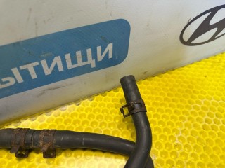 патрубок расширительного бачка, Ford Focus 1 поколение [рестайлинг] 2001-2005