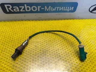 лямбда-зонд, Ford Focus 1 поколение [рестайлинг] 2001-2005