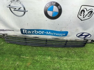 решетка в бампер Ford Focus 1 поколение [рестайлинг] 2001-2005