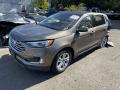 Ford Edge 2 поколение CD539 [рестайлинг] 2019г. 2.0 л. - фото №4