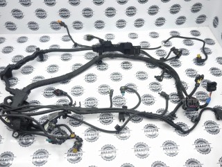 проводка двигателя BMW X5 G05 [рестайлинг] 2023-2026, 5B32EE0