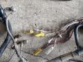 81254246188 проводка двигателя MAN TGA 1 поколение 2005г. - фото №4