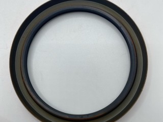 Сальник хвостовика, ориг. номер 116050, 94928, K0703744, 1528991, 680726, 1335246, 042463, 139384, 12015770B, 12015254B, 6246001, 116660, 115115, 058680, 74530262, 74170060, 186304, 300556, 40100860, K010322, 12015254, 12015770, 042364, 338728, 8101300SX, C2244, Scania P/G/R/T