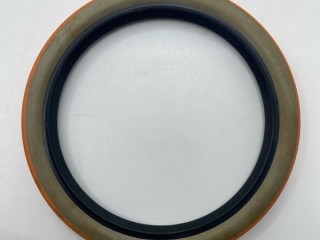 Сальник хвостовика, ориг. номер 116050, 94928, K0703744, 1528991, 680726, 1335246, 042463, 139384, 12015770B, 12015254B, 6246001, 116660, 115115, 058680, 74530262, 74170060, 186304, 300556, 40100860, K010322, 12015254, 12015770, 042364, 338728, 8101300SX, C2244, Scania P/G/R/T