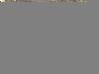 КПП ZF 16s2333td, ориг. номер 1855381, 1356018037, 1855381R, 0922259, DAF XF105 XF 105