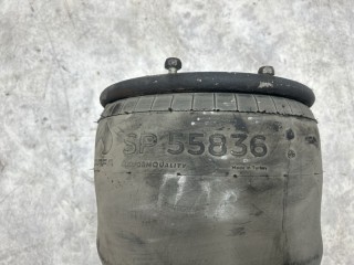 Blow off, ориг. номер 90836, SP55836, 836MK1, ABM50731A01, MD183601, R836DF, SP5583601, 9008360SX, SK836K01, AU3483601, 090030216, RML7947, 836M, Z12722, SK83601P01PL, SK836K01PL, SK836P01PL, SK83606K01PL, SK836P01, P10836S, SK83606K01, SK83601P01, K00101836S, 27110018, W01M580776, SA520061, VL0601082, 71836E, MP083630, 3483601, 348361C, 0067504, V1DF251, 34836S, 1R12700, ED183601, 718361E, 9836, 35624, 42836S, 42836C1, 5836P, 1DF251NP, AGA0776, KG8361NS, 16836S, WBR08361M, S2290836100, 183601, ABM50731A, 130083604, LC836W, 566243500, FT3483601, YP0836MF, 5836A1, 510241, KG836NS, 120142, 78836S, M183601, MLF8018, 08405241A, 08405271A, FT5583601, 0710836010, 34836CPL, TM7008361, 6780099, MD183604, 72836S1, 7836S, 588361S, ABM50731B, V836S, 348361S, 9008365, 60209, 72836S, 34836K04, 34836K06, 562516, 5002030156P, 27105002, FT55836K02, 34836K01, BK08361N, 348366C, 58836S, 040206101200, 040606106280, 120162, E5508360, 040106100090, 040106100280, 10520800A, T610120, 08405213A, 10520210, 08405211, 8836P, DAF XF105