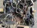 YD25DDTI, YD25 двигатель Nissan Navara D40 2009г. - фото №3