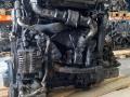 YD22DDTI двигатель в сборе Nissan X-Trail T30 [рестайлинг] 2005г. - фото №3