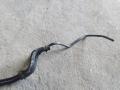 шланг (трубка) АКПП Mitsubishi Pajero 3 поколение [рестайлинг] 2005г. - фото №3