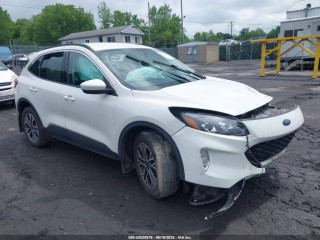 Ford Escape 4 поколение CX482 2020г. 1.6 л., LUB - фото №1