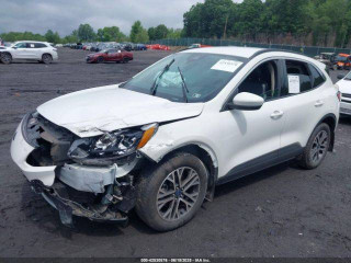 Ford Escape 4 поколение CX482 2020г. 1.6 л., LUB - фото №4