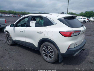 Ford Escape 4 поколение CX482 2020г. 1.6 л., LUB - фото №6