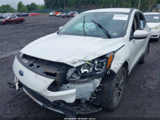 Ford Escape 4 поколение CX482 2020г. 1.6 л., LUB - фото №11