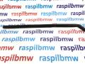 51327020577, 51327020578, 51357020583, 51357020584 Направляющая стекла двери BMW X5 2002г. - фото №3