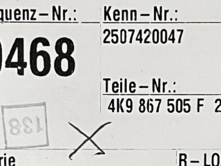 Потолок, ориг. номер 4K9867505F, Audi RS6 2019-2026