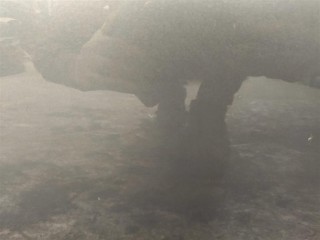 Дверь передняя правая, ориг. номер 41517200570, NOMER, KATALOGU, BMW M3 E92 2007-2012