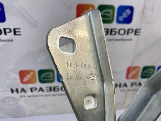 петля капота, ориг. номер KK31-16801-AB, Ford transit
