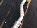 7L0820743F Трубка кондиционера Volkswagen Touareg 2004г. - фото №3
