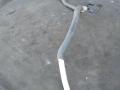 3B1260740A Трубка кондиционера Volkswagen Passat 2002г. - фото №2