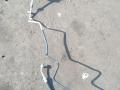 4F0260712R Трубка кондиционера Audi A6 2009г. - фото №2