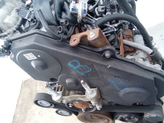 защита (кожух) ремня ГРМ, Ford Focus 2 поколение 2004-2008