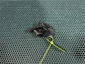 47651757SX, LR049182, LR054699 крепление фары (кронштейн фары) левой Land Rover Range Rover Sport 2 2016г. - фото №2