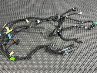 Дверная проводка передней правой, ориг. номер 13544408, 42844510, 42825473, Buick Envista 2022-2026