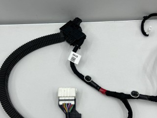 Дверная проводка задней левой, ориг. номер 91620R0180, Kia Carnival 4
