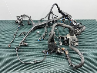 Проводка двигателя, ориг. номер 91410R0060, Kia Carnival 4