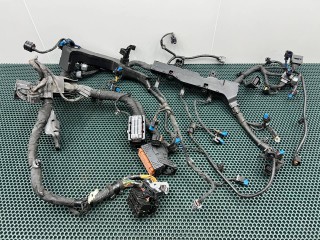 Проводка двигателя, ориг. номер 91410R0060, Kia Carnival 4