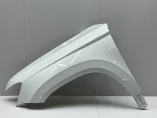Крыло левое переднее Volkswagen Taos 2020-2024, внедорожник 5 дв., 2GJ821105B