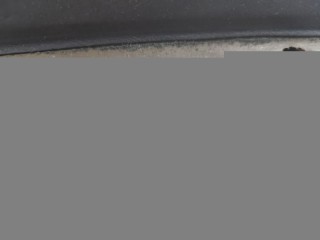 Обшивка двери (карта) задняя правая, ориг. номер 3D7867212, Volkswagen Phaeton 3D2 2002-2007
