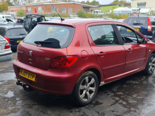 Peugeot 307 1 поколение [рестайлинг] 2007г. 1.6 л., NFU (TU5JP4) - фото №7