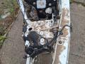 41007417571, 7417571, 41007955085, 7955085 четверть передняя левая BMW X7 G07 2019г. - фото №3