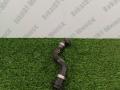 17129894779, 9894779 Шланг системы охлаждения BMW X7 G07 2019г. - фото №2