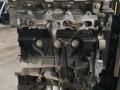 F4P774 Двигатель Renault Laguna 2003г. - фото №4