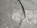Шланг гидроусилителя Volkswagen Polo 2006г. - фото №2