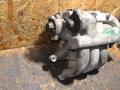 1X4E9424EB впускной коллектор Jaguar X-Type 1 поколение - фото №3