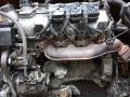 112970 двигатель в сборе Mercedes-Benz M W163 [рестайлинг] 2004г. - фото №3