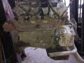 112970 двигатель в сборе Mercedes-Benz M W163 [рестайлинг] 2004г. - фото №4