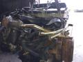 D4FA двигатель в сборе Ford Transit 6 поколение 2004г. - фото №4