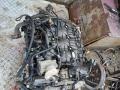 LF1 Двигатель GMC Terrain 1 2011г. - фото №3