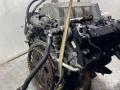 N62B44 Двигатель BMW X5 E53 2005г. - фото №7