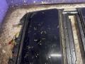 Люк Renault Scenic 1 2000г. - фото №9