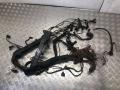 Проводка двигателя BMW 6 E63/E64 2005г. - фото №2