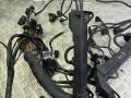 N62 Проводка двигателя BMW X5 E53 2005г. - фото №4