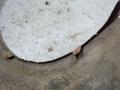 Крыло переднее правое Volkswagen Golf 2 1990г. - фото №6